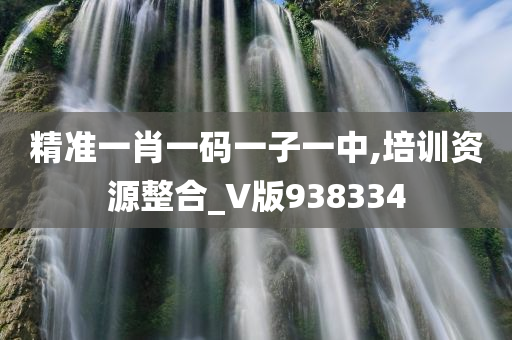 精准一肖一码一子一中,培训资源整合_V版938334