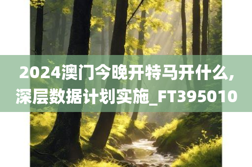 2024澳门今晚开特马开什么,深层数据计划实施_FT395010