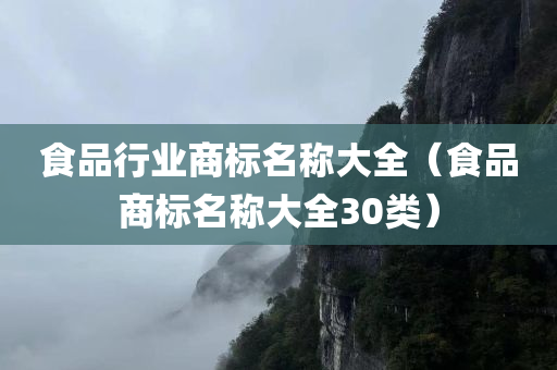 食品行业商标名称大全（食品商标名称大全30类）