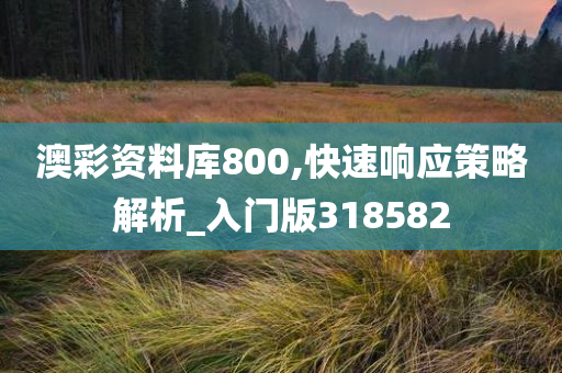 澳彩资料库800,快速响应策略解析_入门版318582