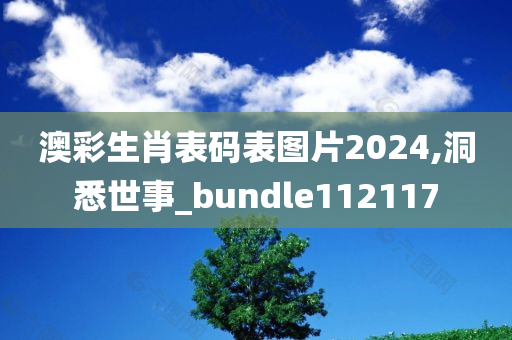 澳彩生肖表码表图片2024,洞悉世事_bundle112117