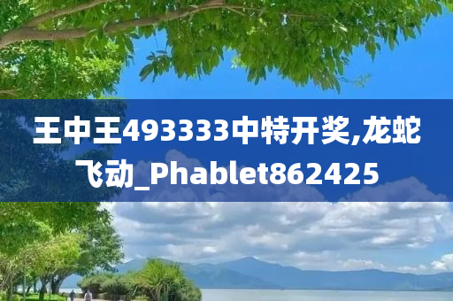 王中王493333中特开奖,龙蛇飞动_Phablet862425