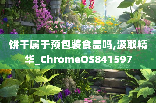 饼干属于预包装食品吗,汲取精华_ChromeOS841597