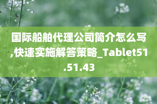 国际船舶代理公司简介怎么写,快速实施解答策略_Tablet51.51.43