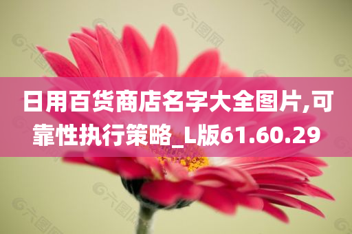 日用百货商店名字大全图片,可靠性执行策略_L版61.60.29