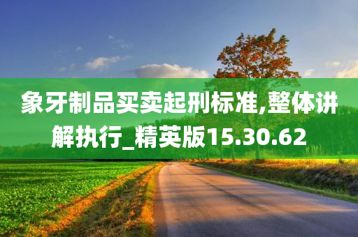 象牙制品买卖起刑标准,整体讲解执行_精英版15.30.62