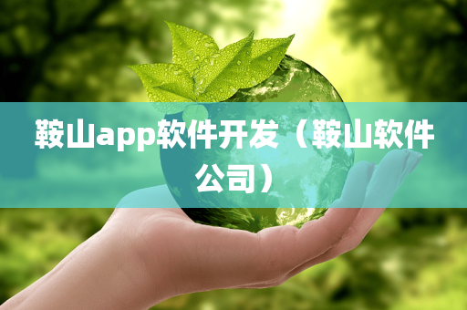 鞍山app软件开发（鞍山软件公司）