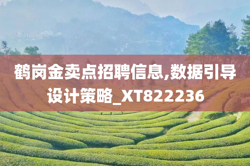 鹤岗金卖点招聘信息,数据引导设计策略_XT822236