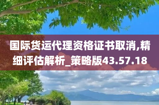 国际货运代理资格证书取消,精细评估解析_策略版43.57.18