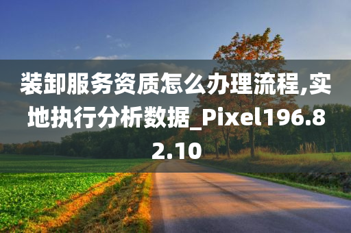 装卸服务资质怎么办理流程,实地执行分析数据_Pixel196.82.10