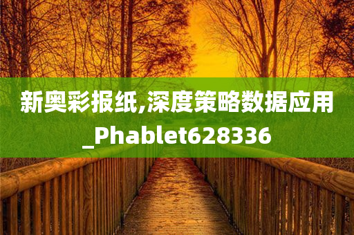 新奥彩报纸,深度策略数据应用_Phablet628336