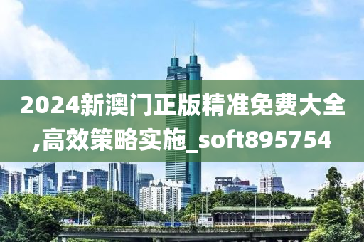 2024新澳门正版精准免费大全,高效策略实施_soft895754