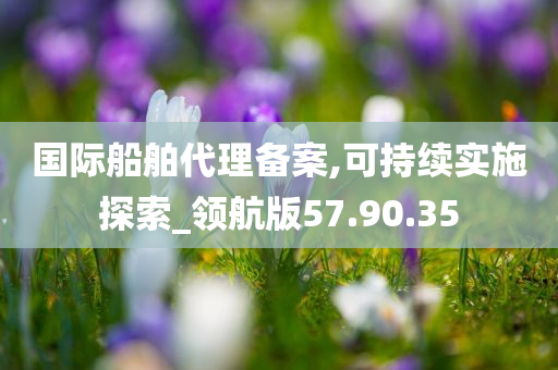 国际船舶代理备案,可持续实施探索_领航版57.90.35