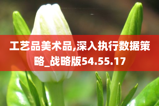 工艺品美术品,深入执行数据策略_战略版54.55.17