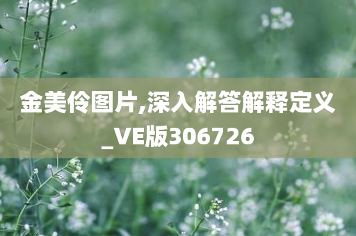 金美伶图片,深入解答解释定义_VE版306726