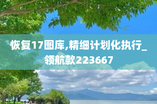 恢复17图库,精细计划化执行_领航款223667