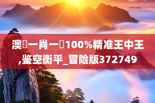 澳門一肖一碼100%精准王中王,鉴空衡平_冒险版372749