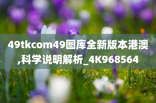 49tkcom49图库全新版本港澳,科学说明解析_4K968564