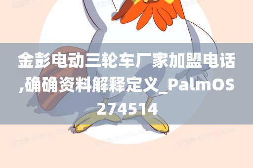 金彭电动三轮车厂家加盟电话,确确资料解释定义_PalmOS274514