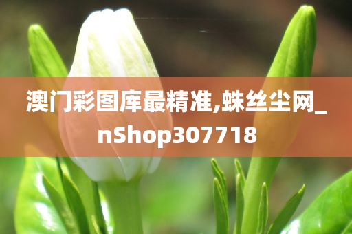 澳门彩图库最精准,蛛丝尘网_nShop307718