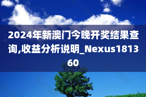 2024年新澳门今晚开奖结果查询,收益分析说明_Nexus181360