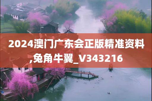 2024澳门广东会正版精准资料,兔角牛翼_V343216