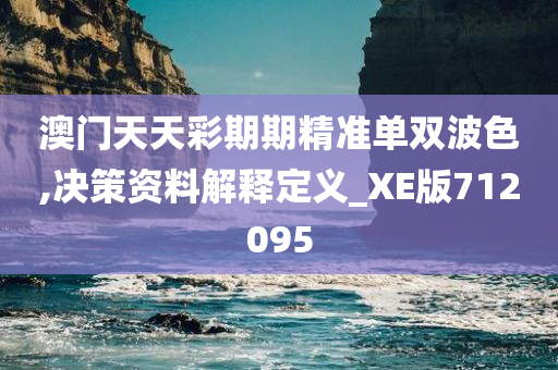 澳门天天彩期期精准单双波色,决策资料解释定义_XE版712095