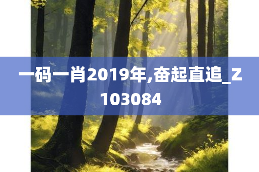 一码一肖2019年,奋起直追_Z103084