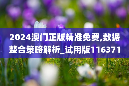 2024澳门正版精准免费,数据整合策略解析_试用版116371