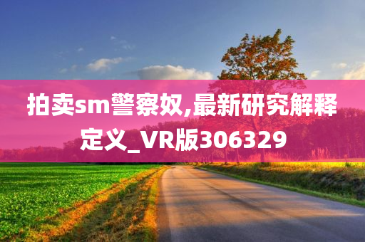 拍卖sm警察奴,最新研究解释定义_VR版306329