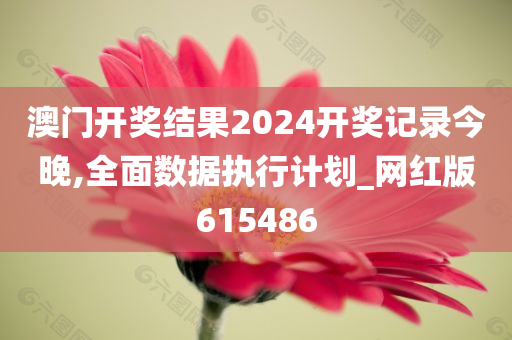 澳门开奖结果2024开奖记录今晚,全面数据执行计划_网红版615486