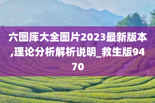 六图库大全图片2023最新版本,理论分析解析说明_救生版9470