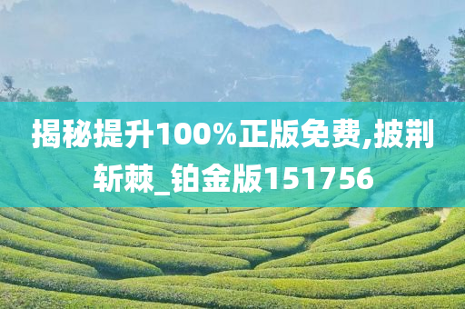 揭秘提升100%正版免费,披荆斩棘_铂金版151756