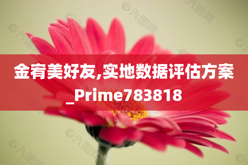 金宥美好友,实地数据评估方案_Prime783818