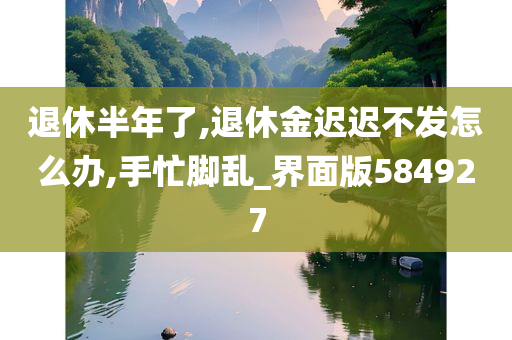 退休半年了,退休金迟迟不发怎么办,手忙脚乱_界面版584927