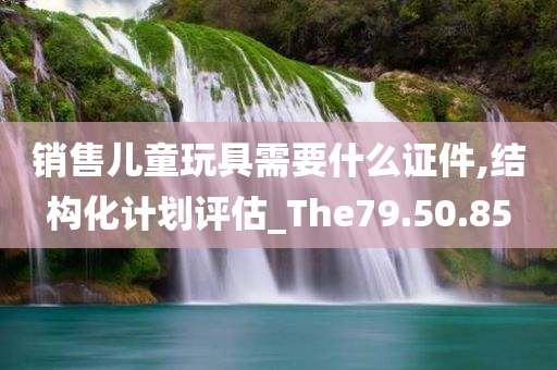 销售儿童玩具需要什么证件,结构化计划评估_The79.50.85