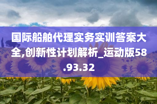 国际船舶代理实务实训答案大全,创新性计划解析_运动版58.93.32