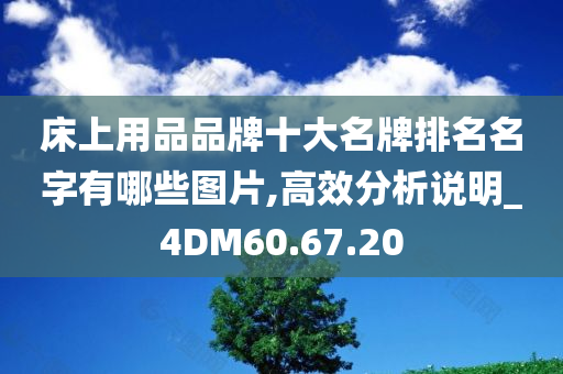 床上用品品牌十大名牌排名名字有哪些图片,高效分析说明_4DM60.67.20