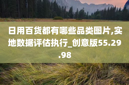 日用百货都有哪些品类图片,实地数据评估执行_创意版55.29.98