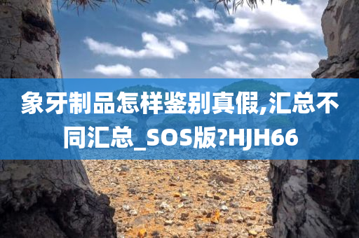 象牙制品怎样鉴别真假,汇总不同汇总_SOS版?HJH66