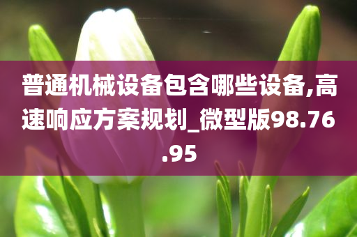 普通机械设备包含哪些设备,高速响应方案规划_微型版98.76.95