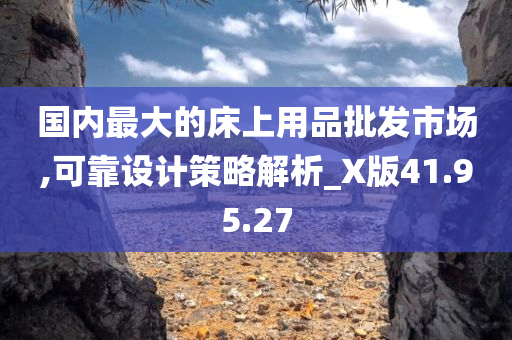 国内最大的床上用品批发市场,可靠设计策略解析_X版41.95.27