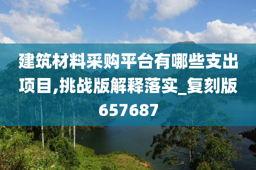 建筑材料采购平台有哪些支出项目,挑战版解释落实_复刻版657687