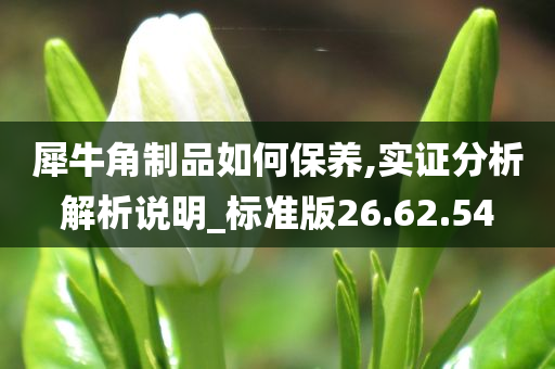 犀牛角制品如何保养,实证分析解析说明_标准版26.62.54