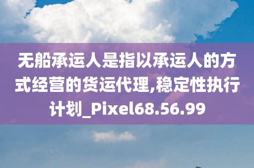 无船承运人是指以承运人的方式经营的货运代理,稳定性执行计划_Pixel68.56.99