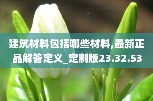 建筑材料包括哪些材料,最新正品解答定义_定制版23.32.53