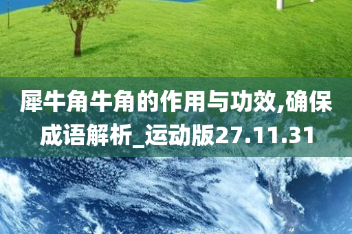 犀牛角牛角的作用与功效,确保成语解析_运动版27.11.31