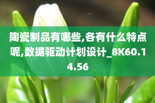 陶瓷制品有哪些,各有什么特点呢,数据驱动计划设计_8K60.14.56