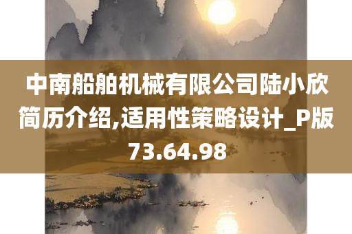 中南船舶机械有限公司陆小欣简历介绍,适用性策略设计_P版73.64.98