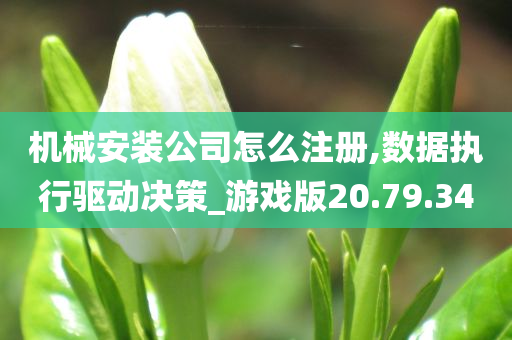 机械安装公司怎么注册,数据执行驱动决策_游戏版20.79.34